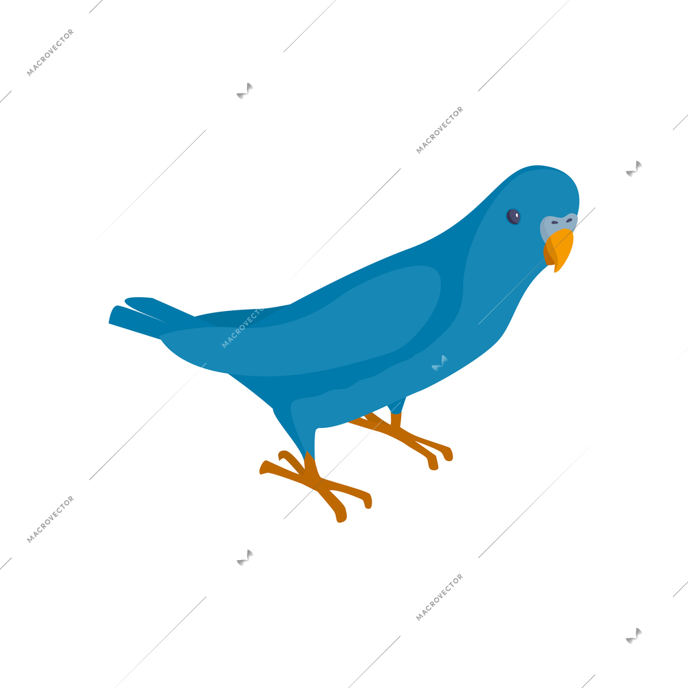 Cute blue parrot on white background isometric icon vector illustration