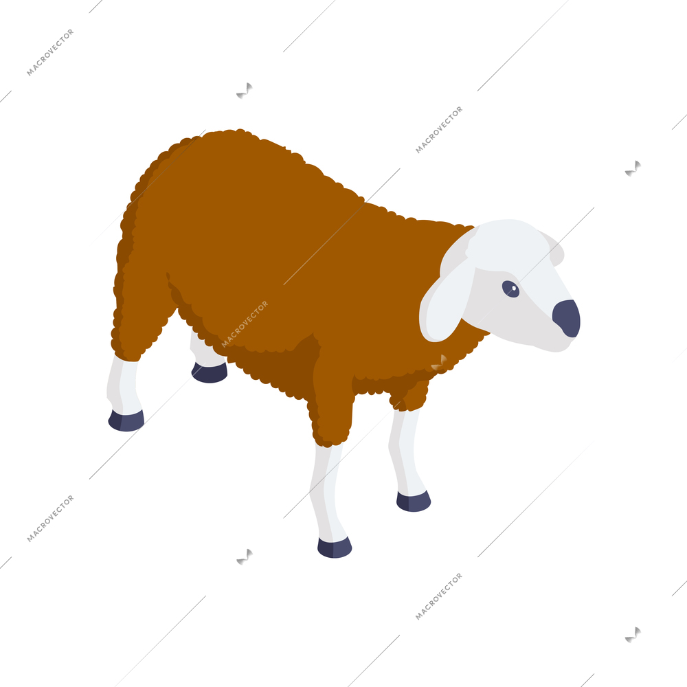 Isometric sheep on white background 3d icon vector illustration