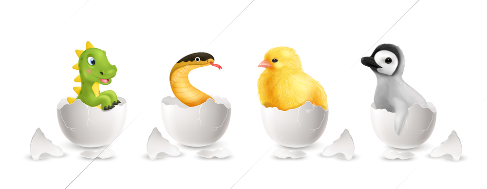 Realistic egg with chicken snake and dino set isolated vector illustration