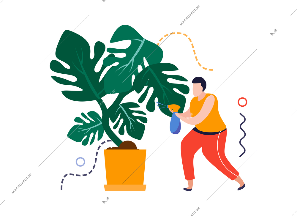 Home garden flat composition with male character spraying water on home plant vector illustration