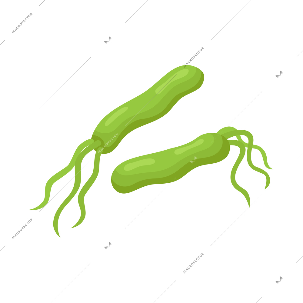 Isometric gastroenterology composition with images of green bacteria vector illustration