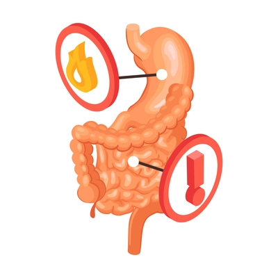 Isometric gastroenterology composition with view of bowels with stomach and caution sign icons vector illustration