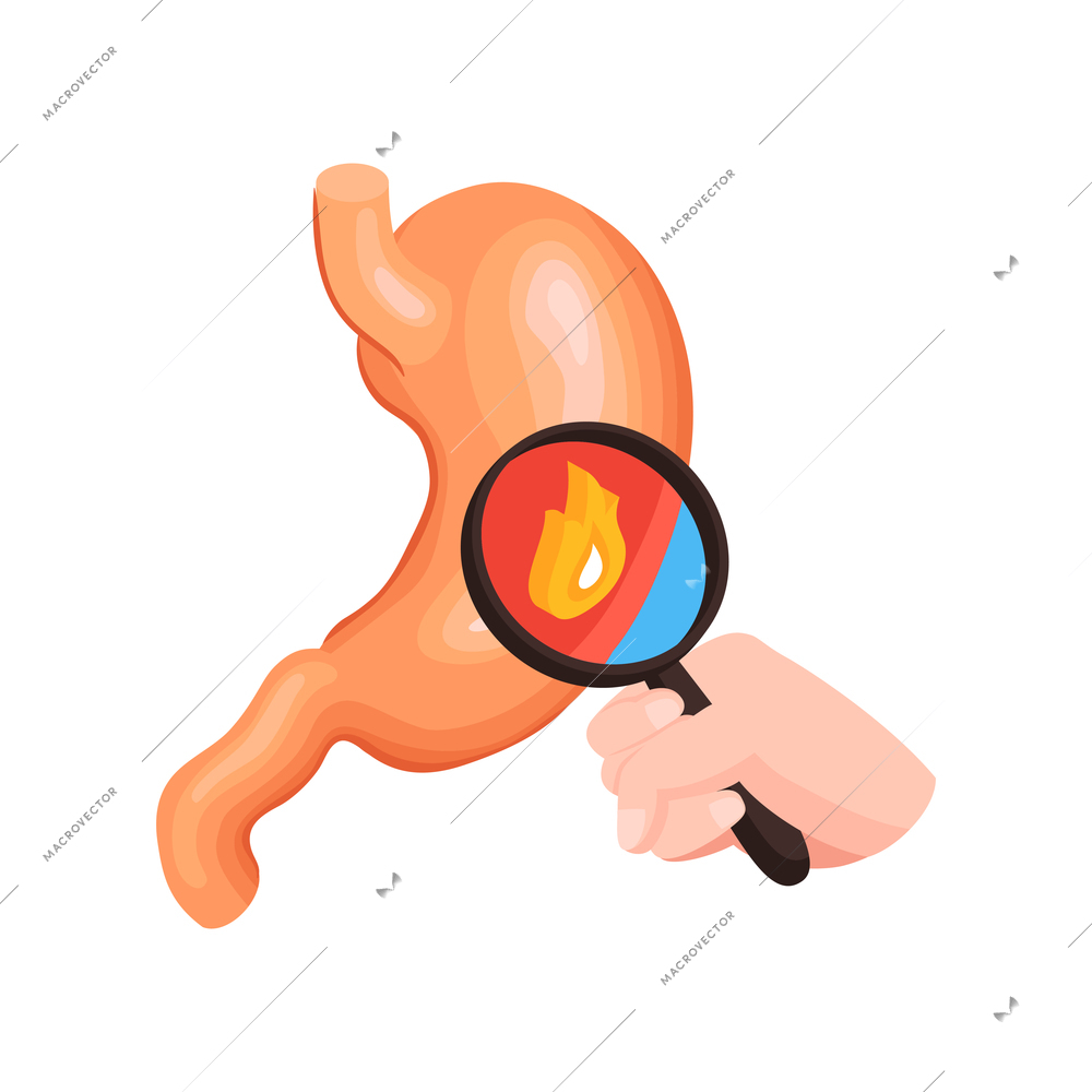 Isometric gastroenterology composition with human hand holding glass and stomach with fire sign vector illustration