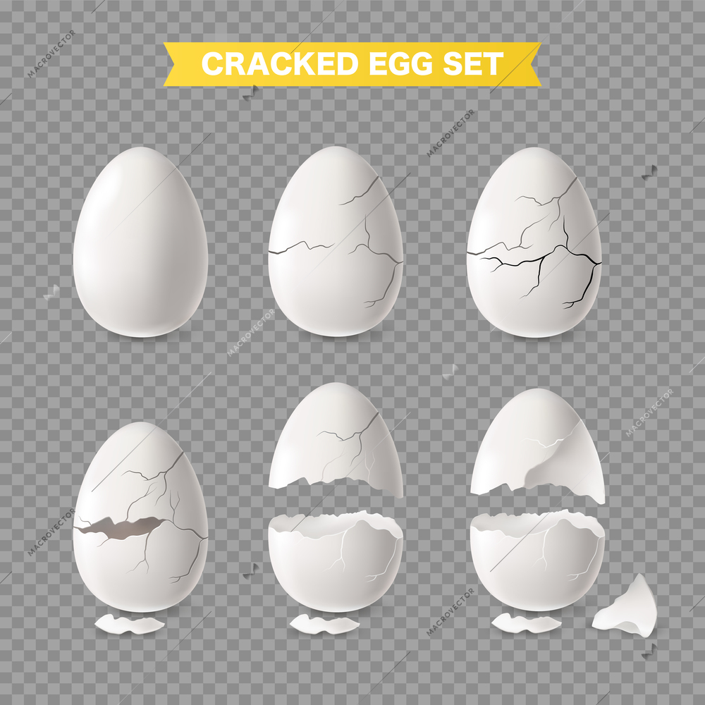 Realistic white cracked and open egg transparent set isolated vector illustration