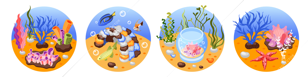 Set of isometric compositions with aquarium exotic fish and underwater plants on sea bottom isolated vector illustration