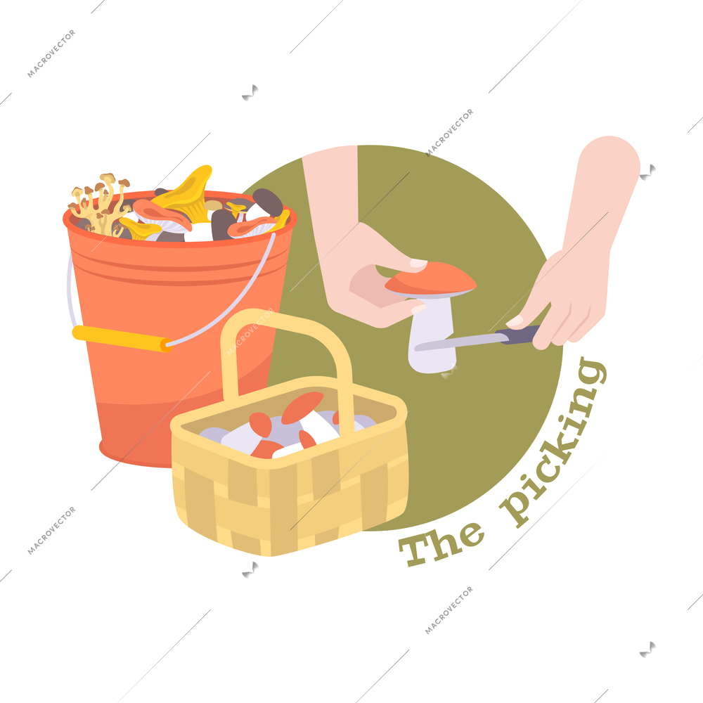 Flat picking mushrooms composition with basket bucket and hands with knife vector illustration