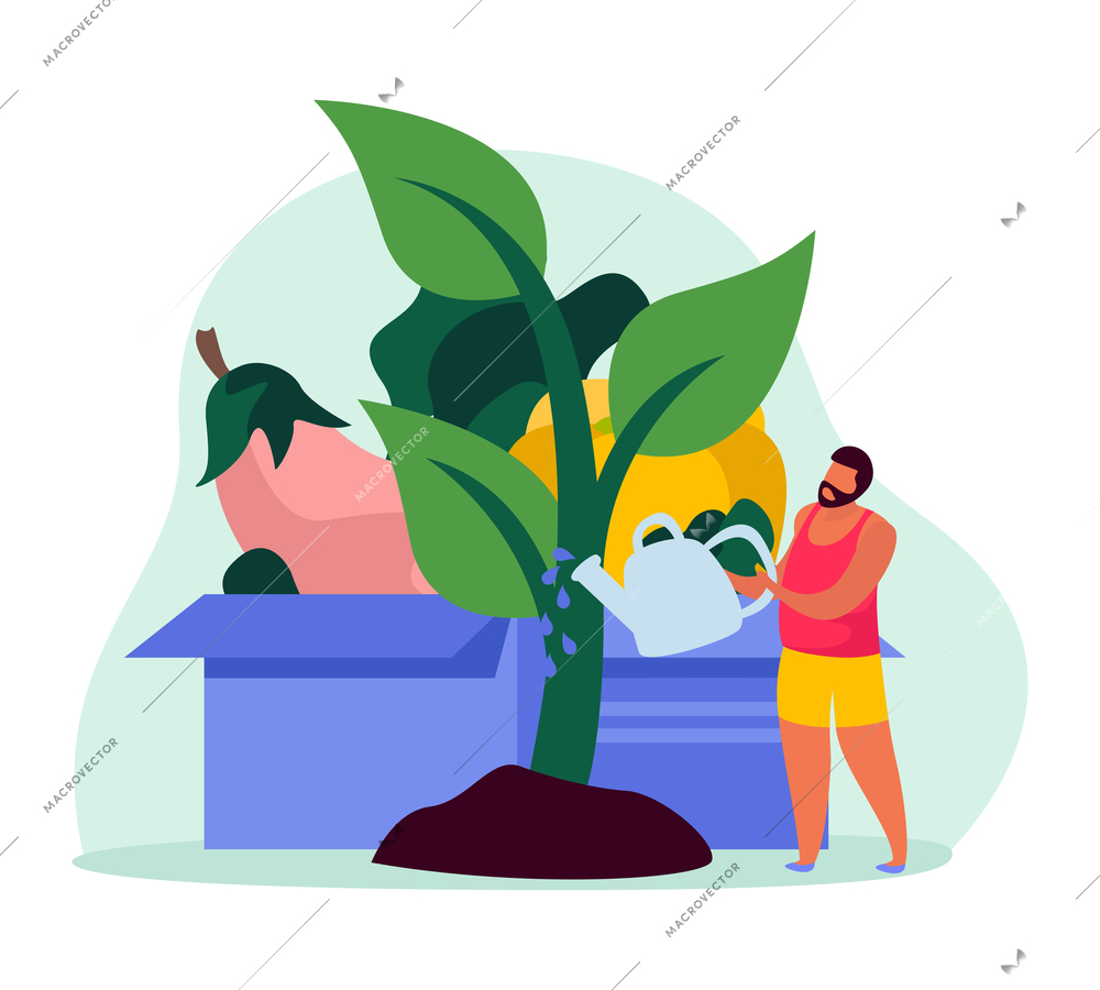 Nature flat icon with box of vegetables and character watering green plant vector illustration