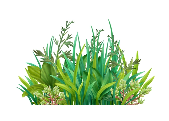 Realistic icon with mixture of various green grasses cereals succulents vector illustration