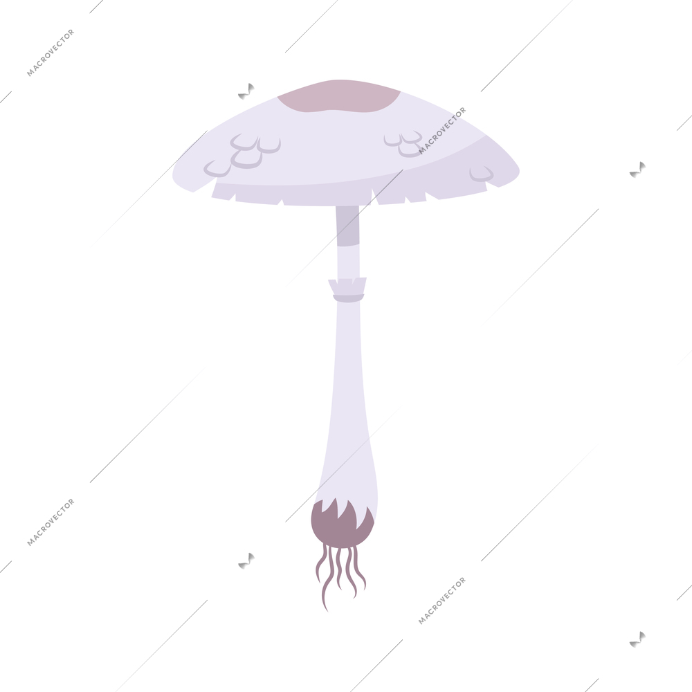 Poisonous deadly amanita mushroom flat icon on white background vector illustration