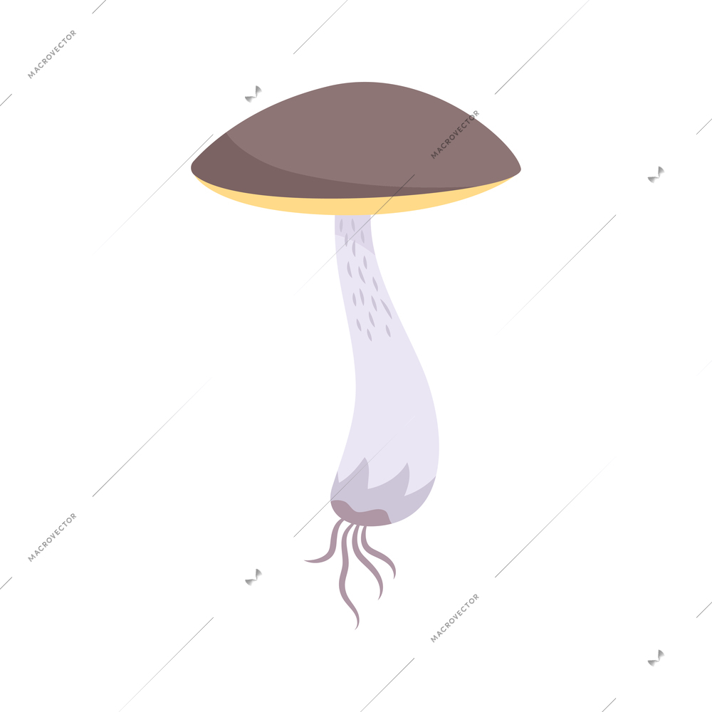 Birch mushroom flat icon on white background vector illustration