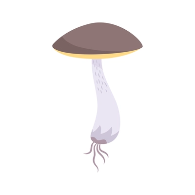 Birch mushroom flat icon on white background vector illustration