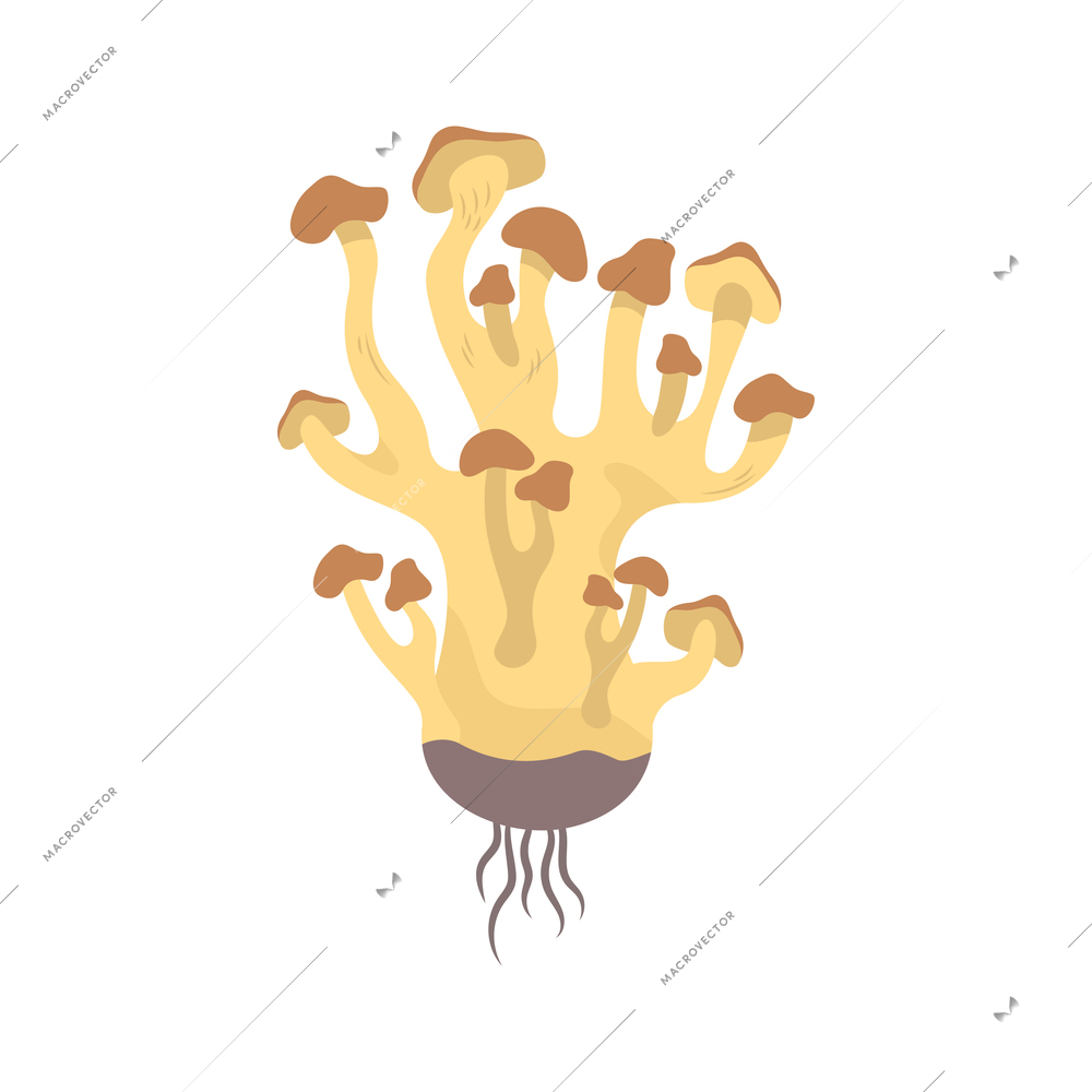 Flat honey fungus on white background vector illustration