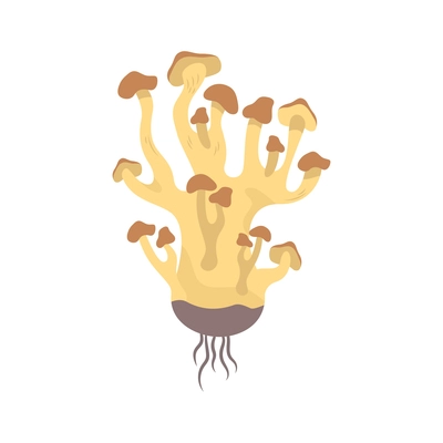 Flat honey fungus on white background vector illustration