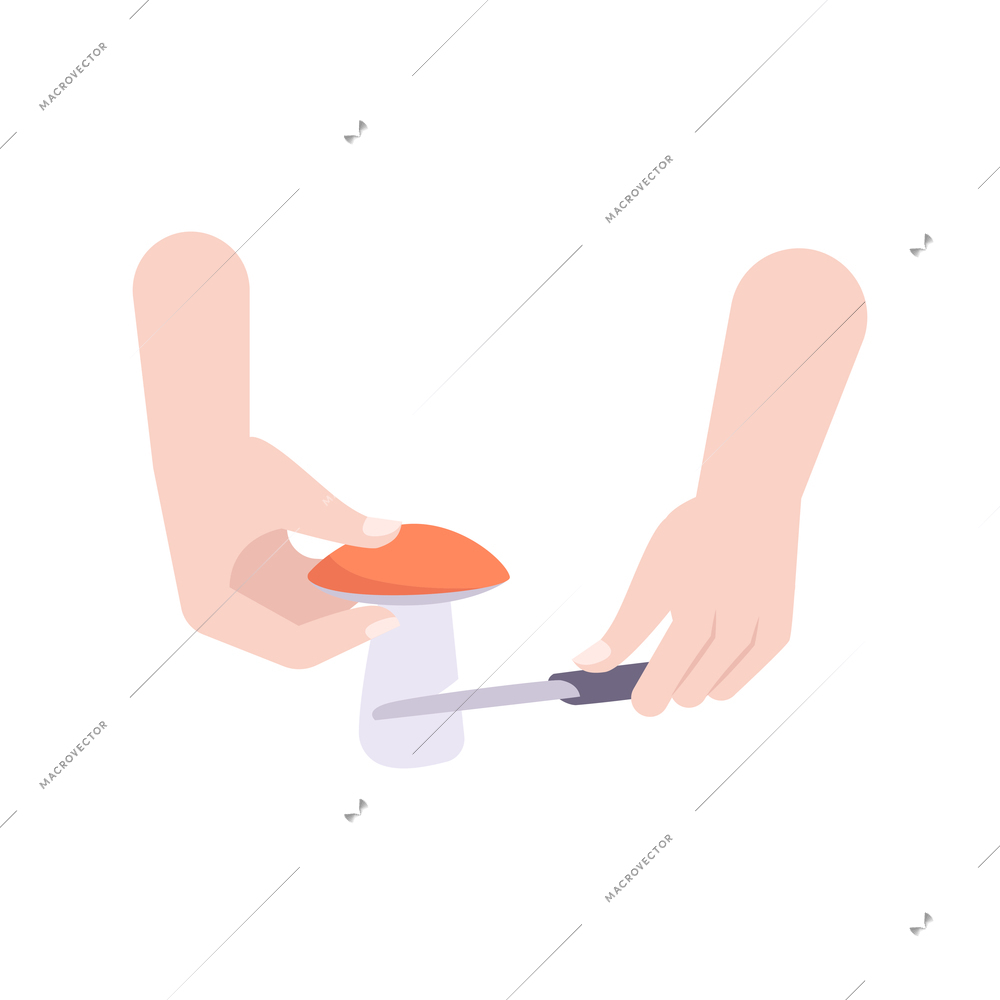 Human hands picking mushroom with knife flat vector illustration