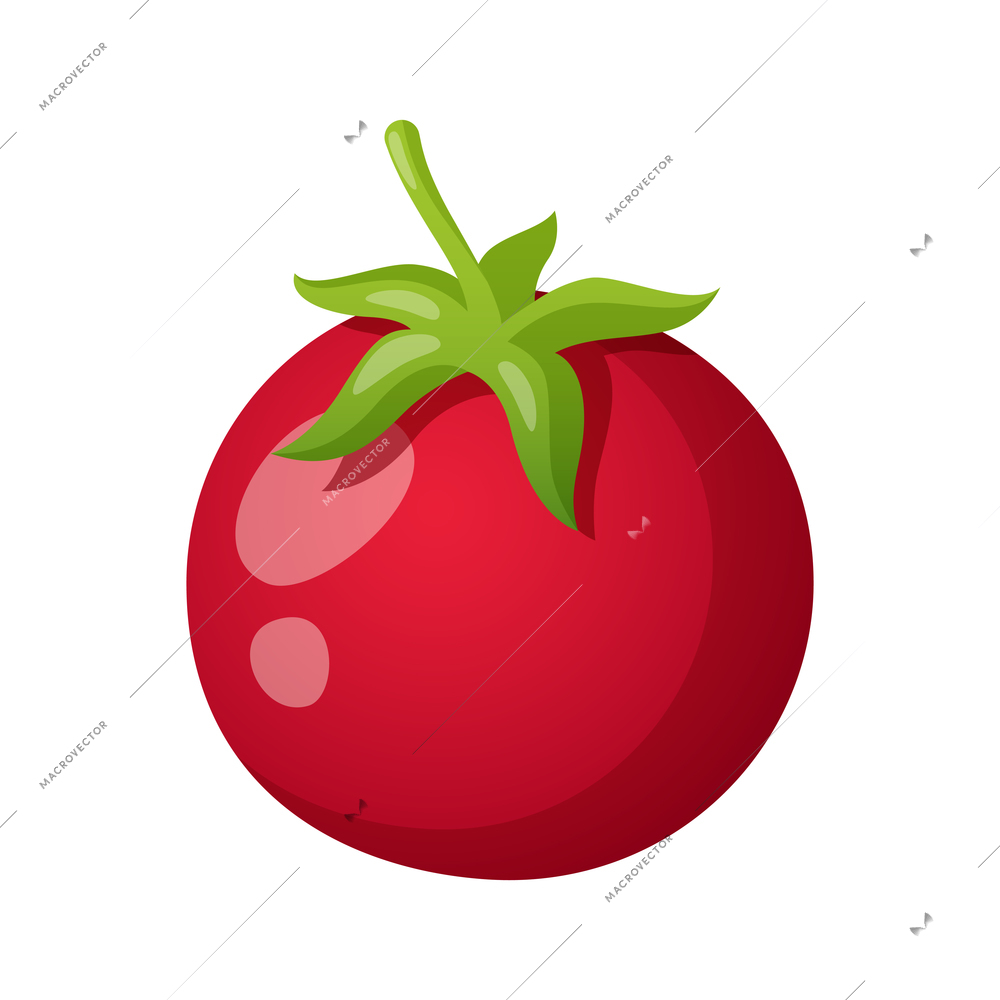 Cartoon whole red tomato with green leaf on white background vector illustration