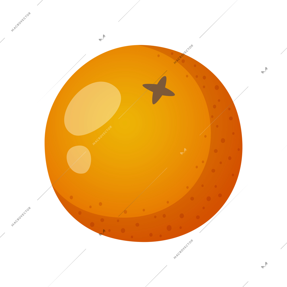 Whole orange on white background cartoon vector illustration