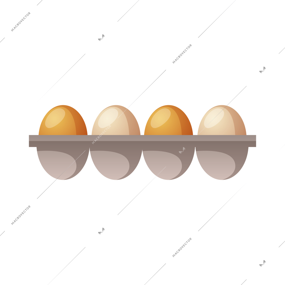 Four chicken eggs in container on white background cartoon vector illustration