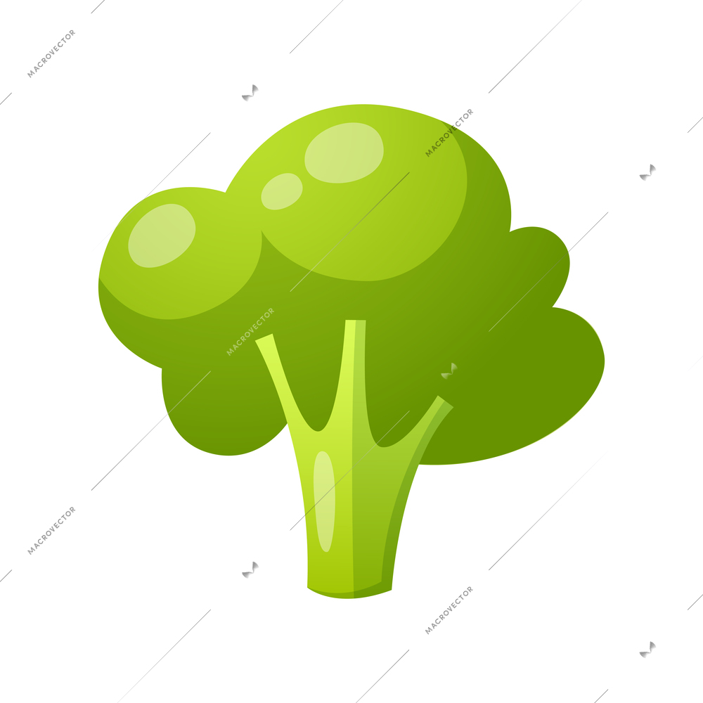 Cartoon fresh green broccoli on white background vector illustration