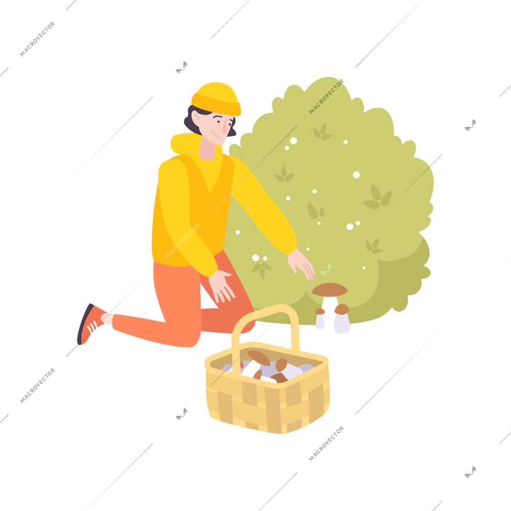 Flat icon with smiling man picking cep mushrooms with basket vector illustration