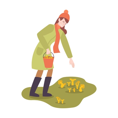 Woman with bucket gathering chanterelle mushrooms in autumn flat vector illustration