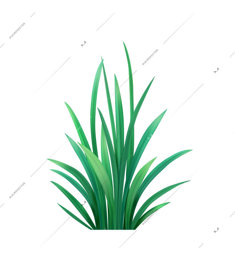 Fresh green grass bunch on white background realistic vector illustration