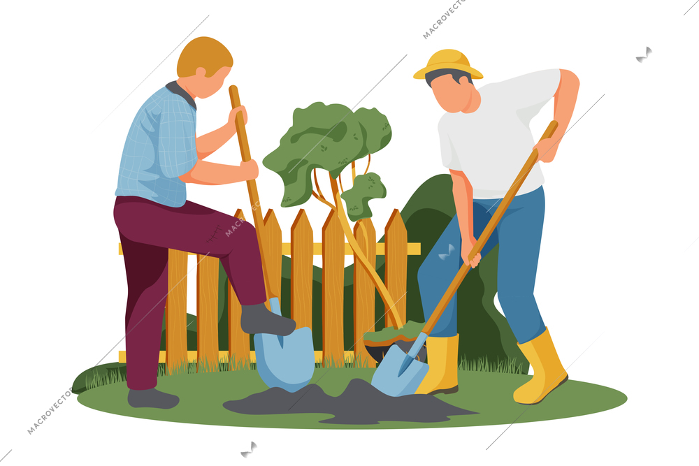 Flat composition with two men planting tree in garden vector illustration