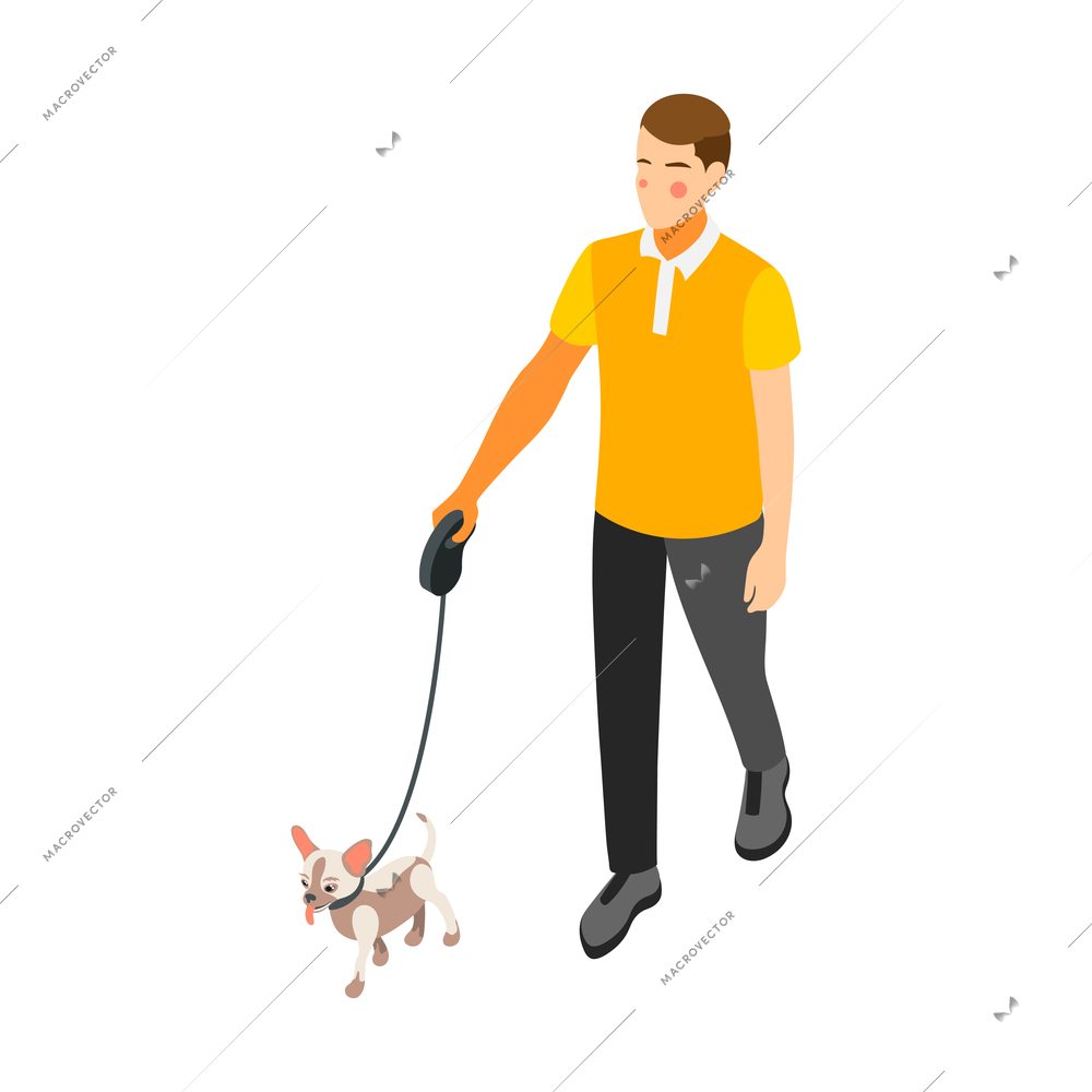 Daily routine isometric icon with character walking small dog 3d vector illustration