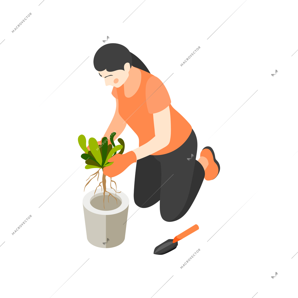 Isometric icon with woman potting green plant 3d vector illustration