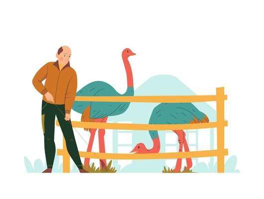 Zoo keeper cleaning enclosure with ostriches flat vector illustration