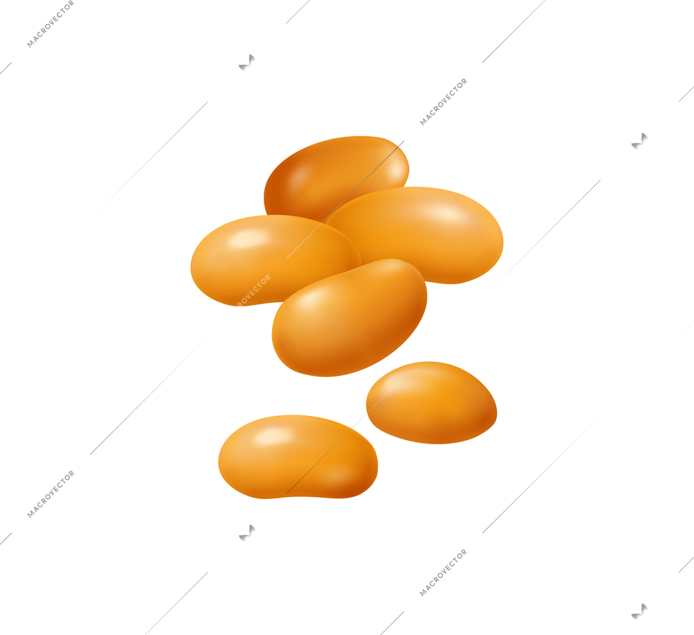 Brown beans on white background realistic vector illustration