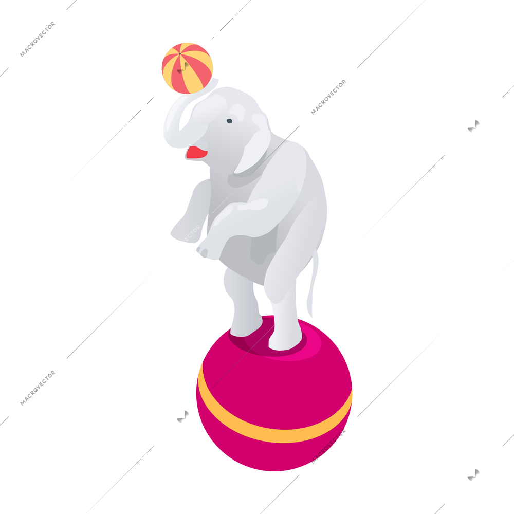 Isometric icon with circus elephant performing on arena with balls 3d vector illustration