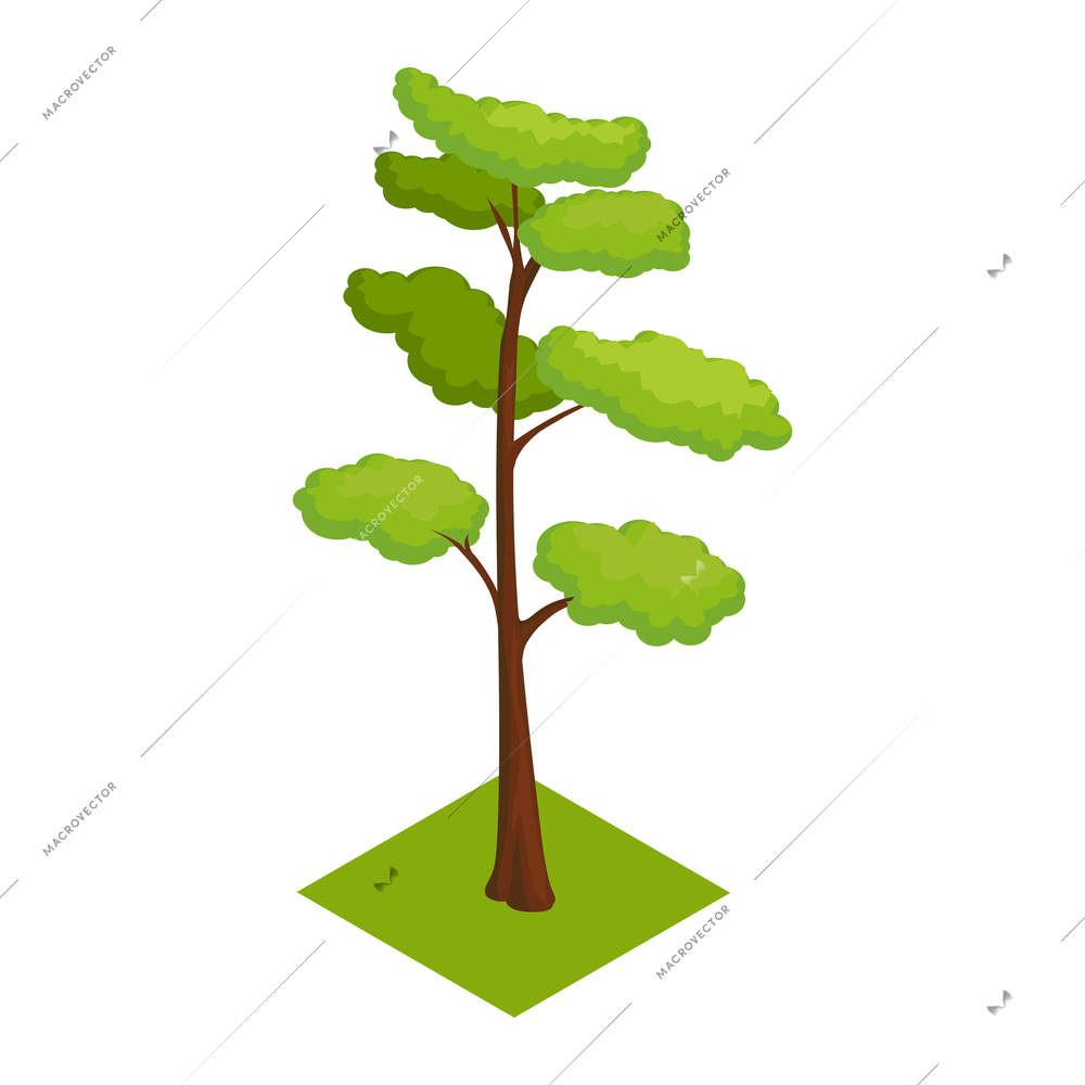 Isometric icon with tree on green lawn 3d vector illustration