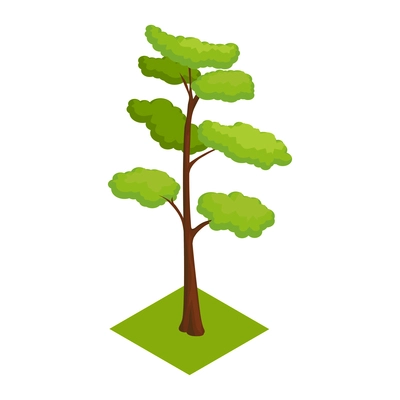 Isometric icon with tree on green lawn 3d vector illustration