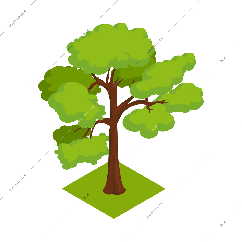 Green isometric tree on white background vector illustration