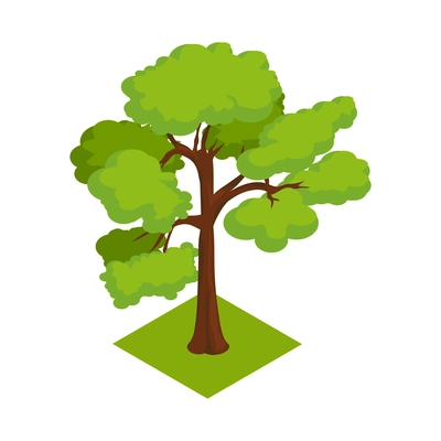 Green isometric tree on white background vector illustration