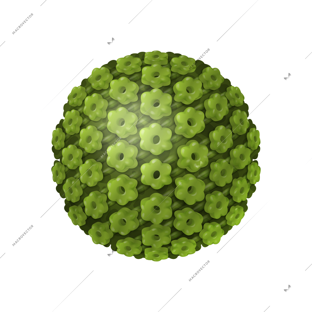 Green round microscopic bacterium realistic icon on white background vector illusration