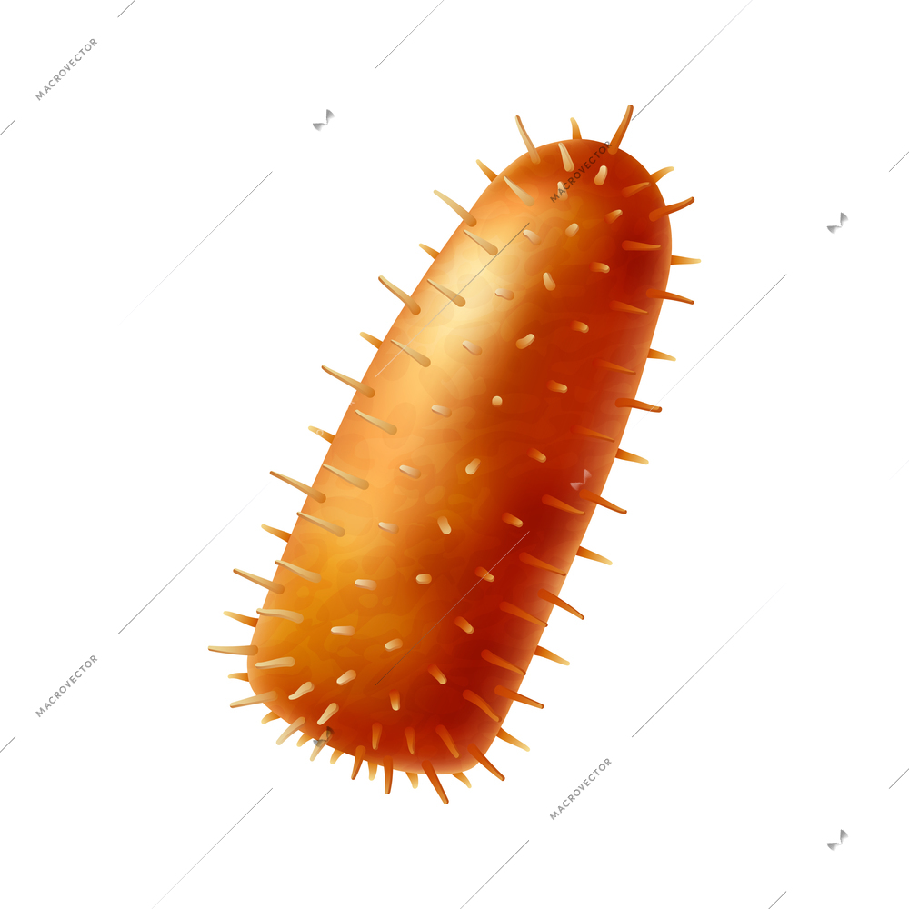 Realistic icon of orange bacterium virus cell on white background vector illustration