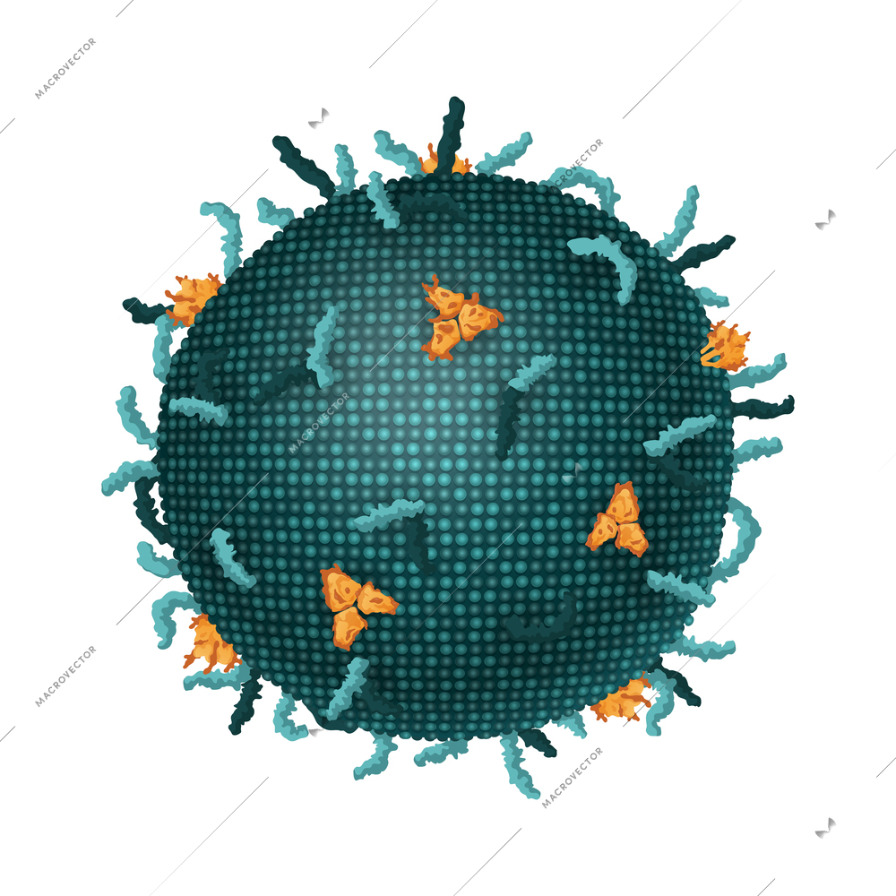 Colorful realistic icon of microscopic virus microorganism on white background vector illustration