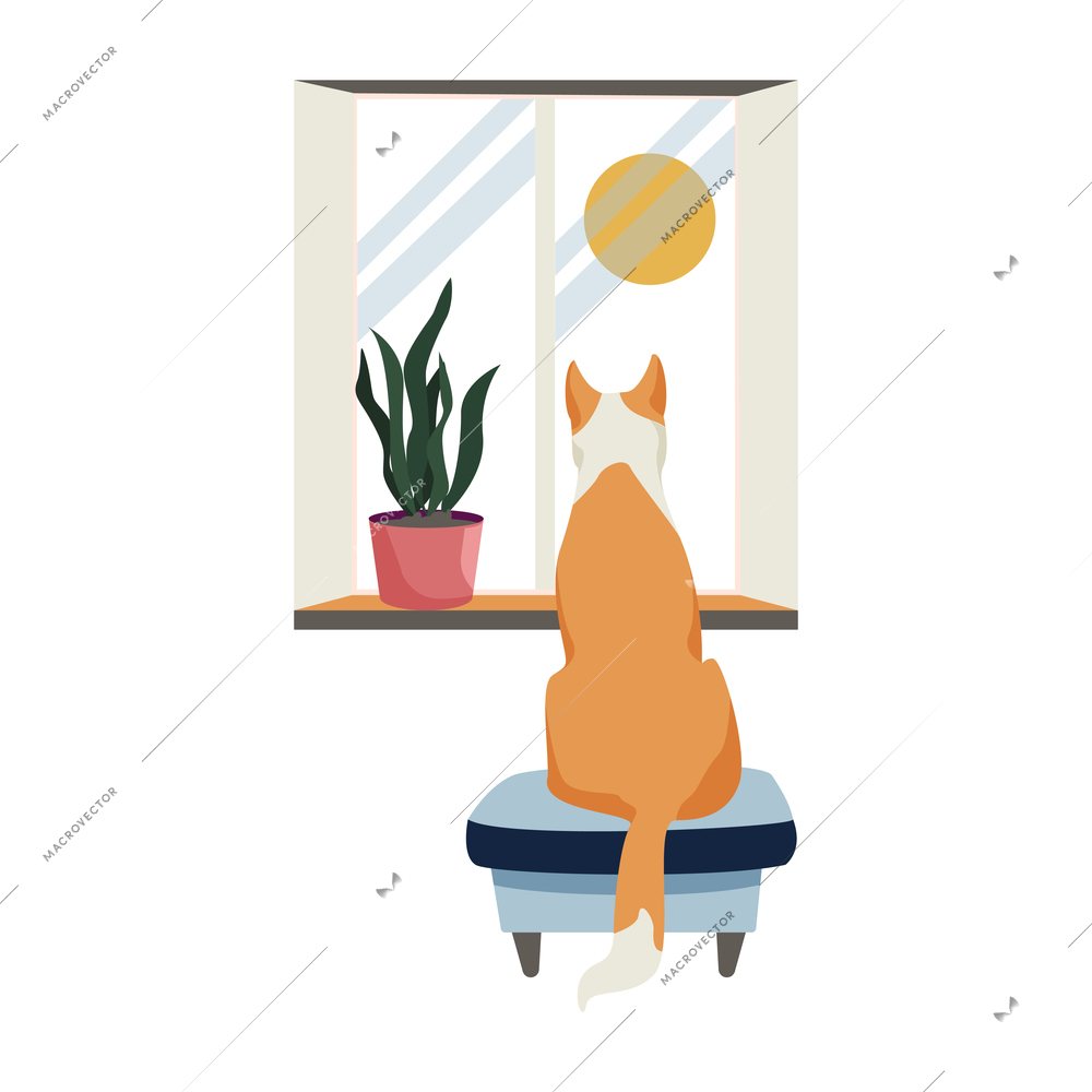 Cute dog sitting on chair and looking through window back view flat vector illustration