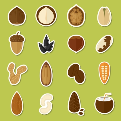 Nuts stickers set with coffee bean coconut cashew isolated vector illustration