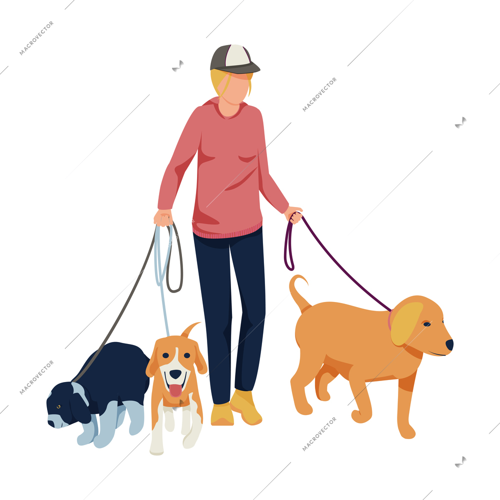 Flat character walking three dogs on leash vector illustration