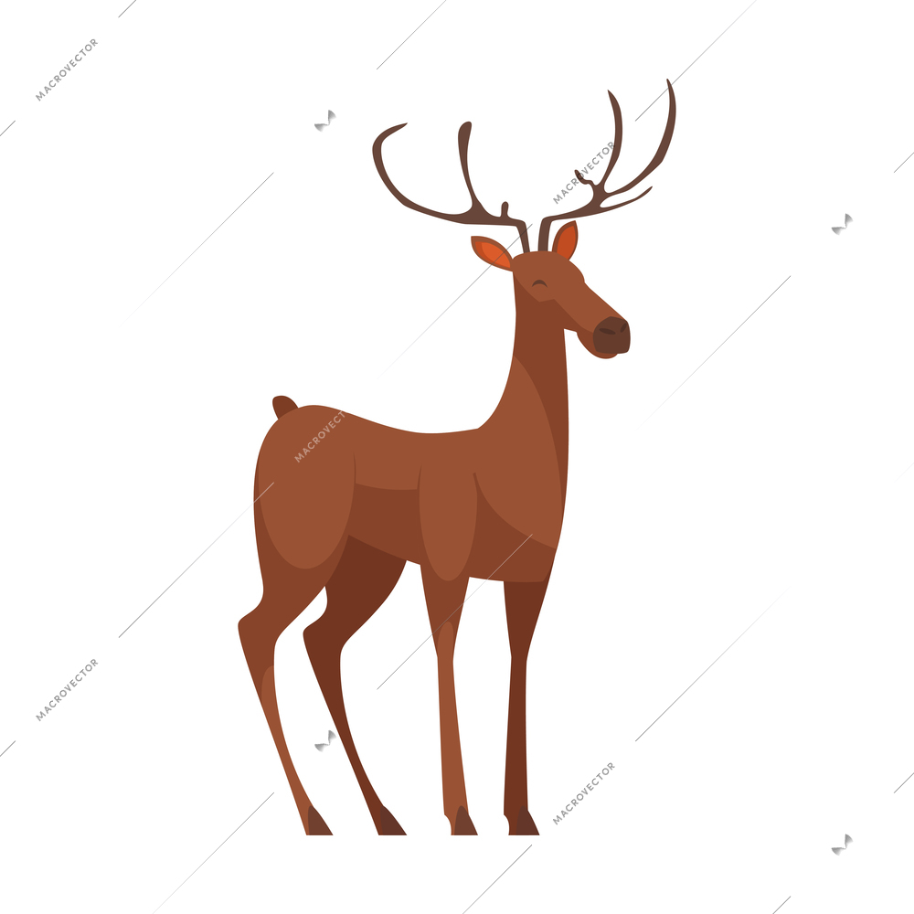 Cartoon icon with cute brown deer on white background vector illustration