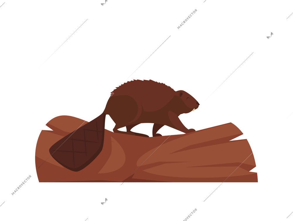 Cartoon icon with cute brown beaver on log vector illustration