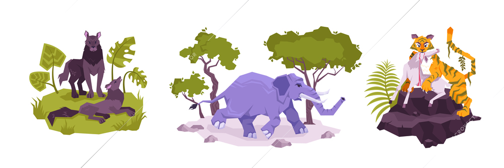 Set of three isolated compositions with exotic plants and wild animals wolves elephant tiger eating antelope vector illustration