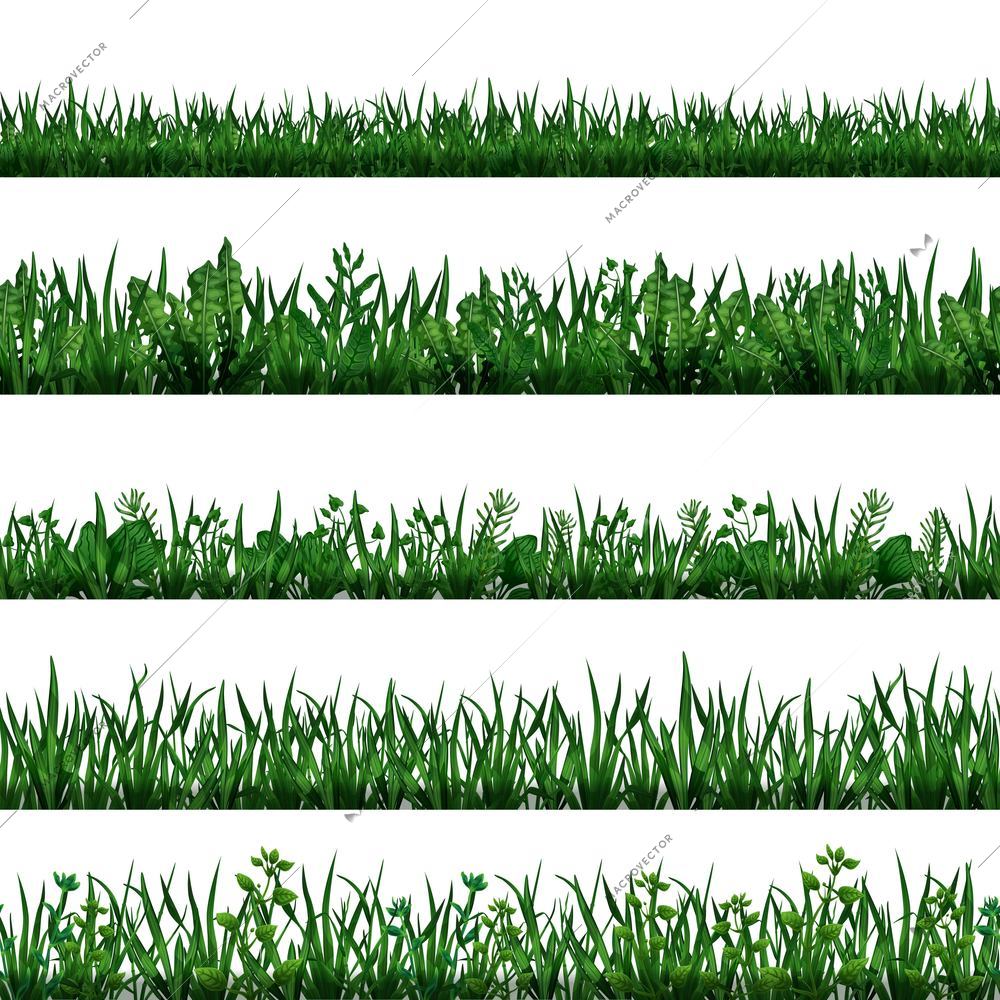 Realistic seamless horizontal border set with green grass and leaves isolated on white background vector illustration