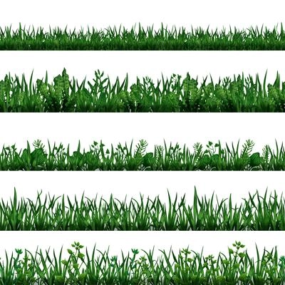 Realistic seamless horizontal border set with green grass and leaves isolated on white background vector illustration