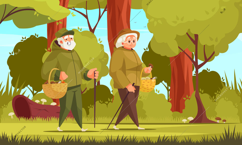 Old people outdoor activity cartoon composition with elderly couple gathering mushrooms in the wild vector illustration