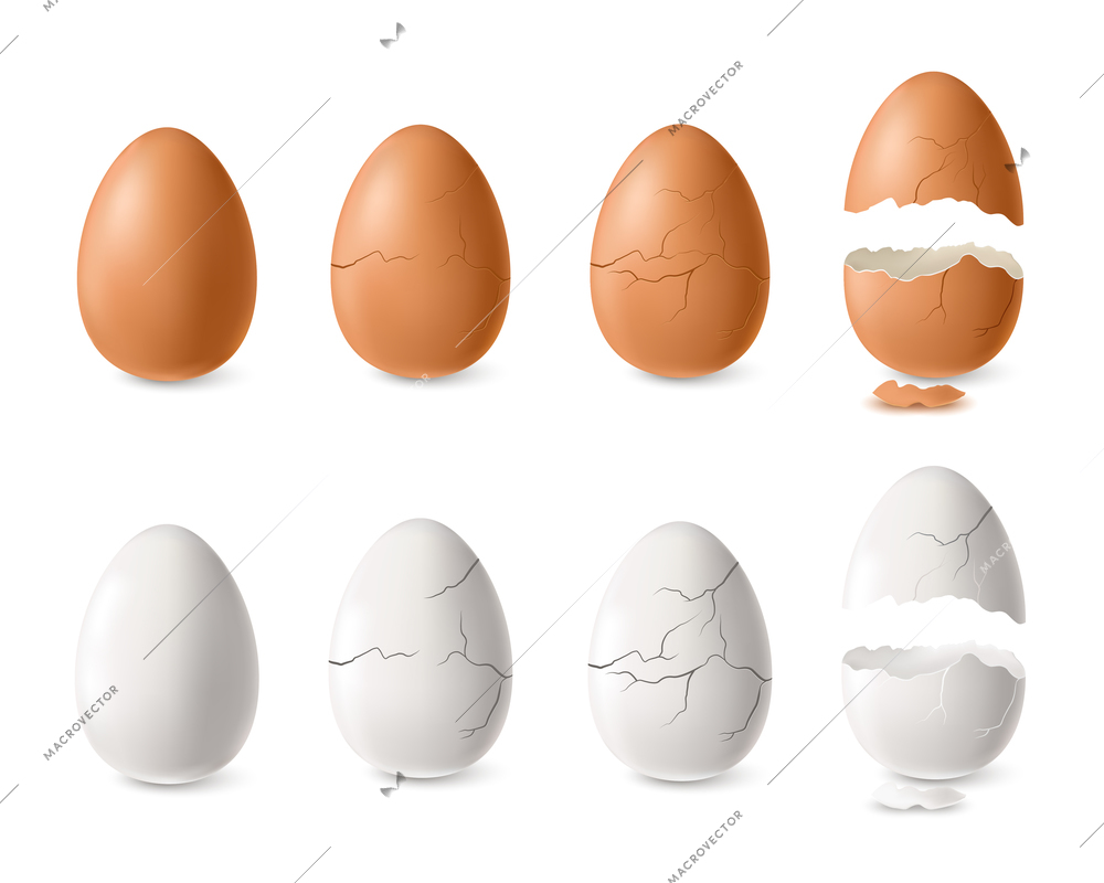 Realistic white and brown cracked and open egg set isolated vector illustration