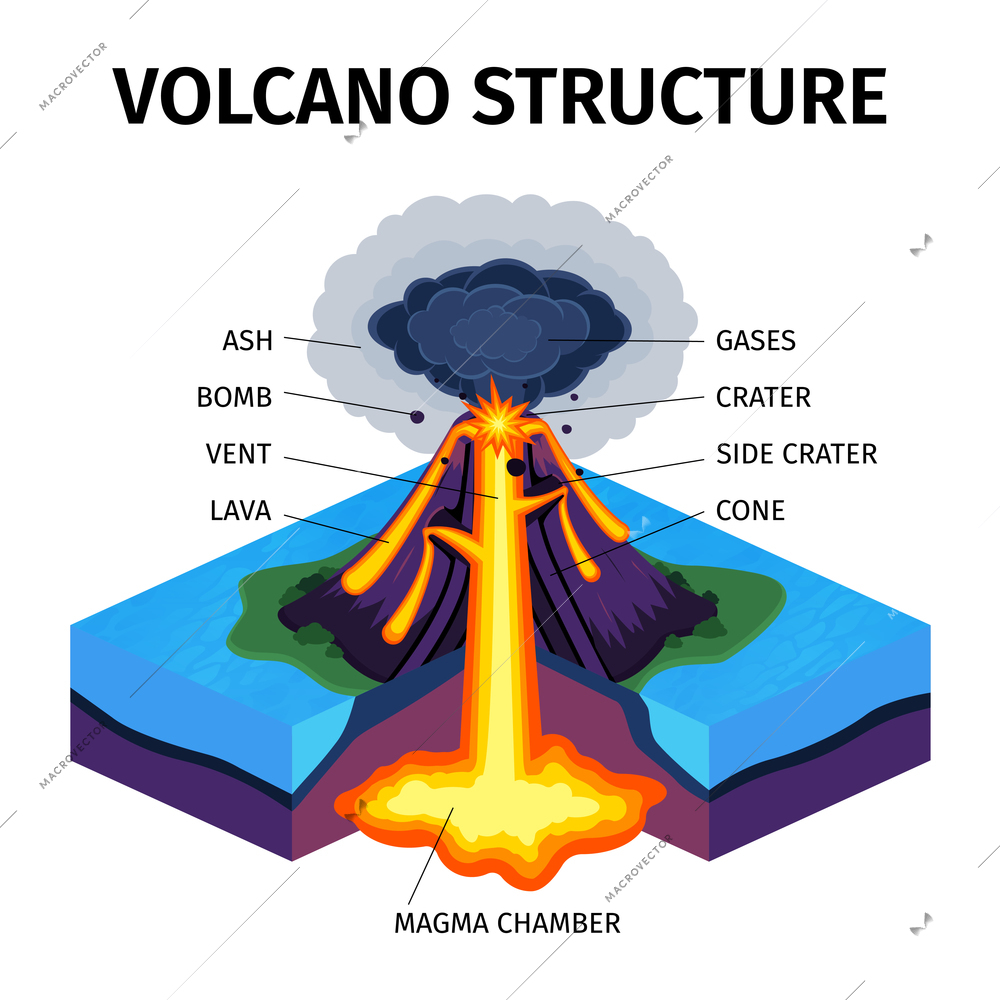Cross section of volcano isometric diagram with indicating of magma chamber gases cone vent crater lava bomb ash vector illustration