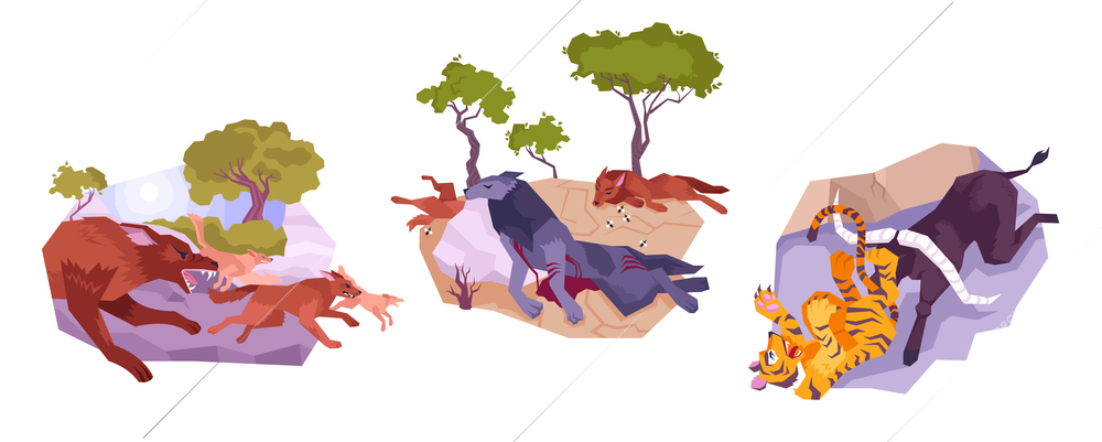 Three animals icon set with running wolves defeated wolves and a tiger vector illustration